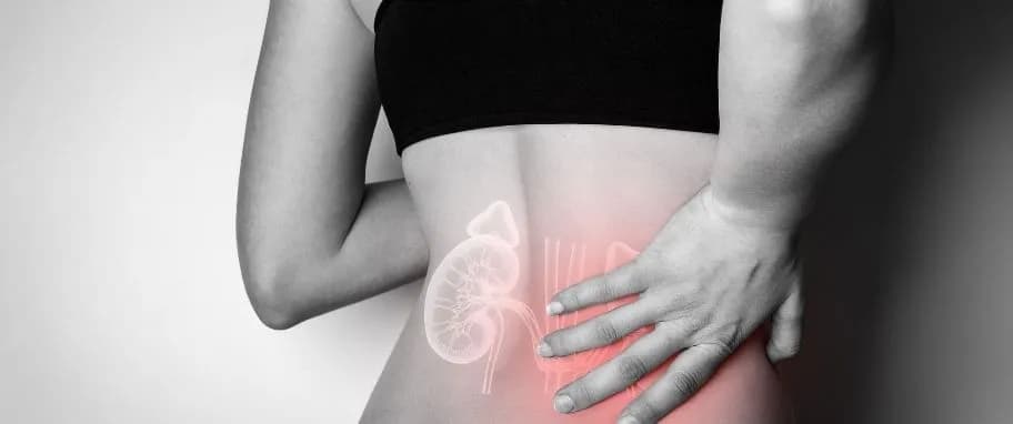 Jak długo trwa ból nerek po alkoholu? Objawy i przyczyny bólu