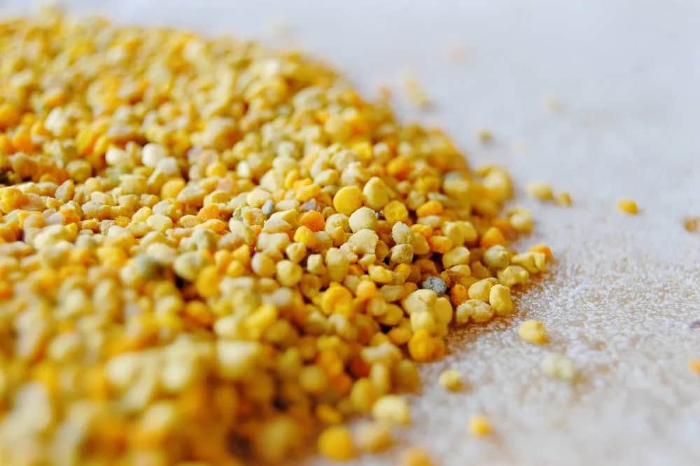 Jak zażywać pyłek pszczeli, aby uniknąć alergii i cieszyć się zdrowiem