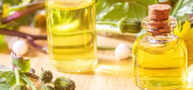 Jak zażywać olej z ostropestu, aby uniknąć błędów i cieszyć się zdrowiem Jak zażywać olej z ostropestu, aby uniknąć błędów i cieszyć się zdrowiem